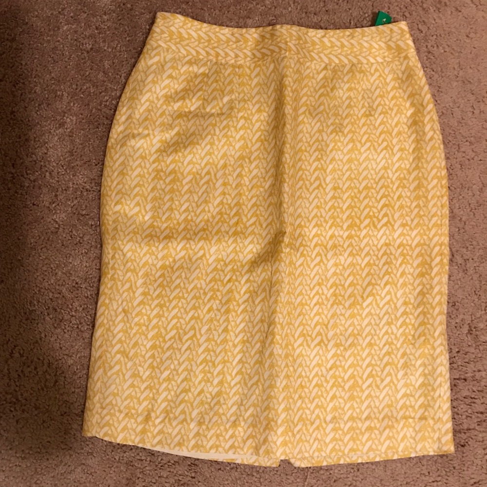 NWT—-Pencil Skirt